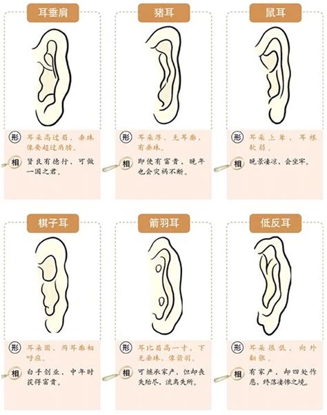 耳珠有毛|面相耳朵图解【最详细版】 – 杨易德全集官网